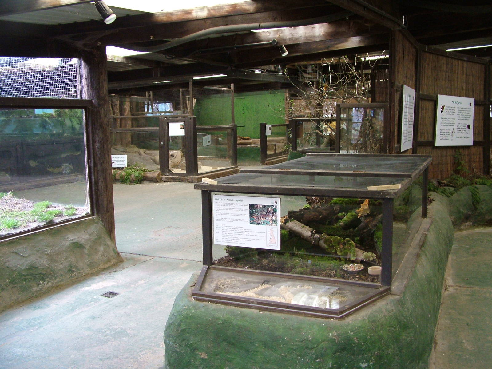 Hedgerow exhibits at the British Wildlife Centre 14/03/10