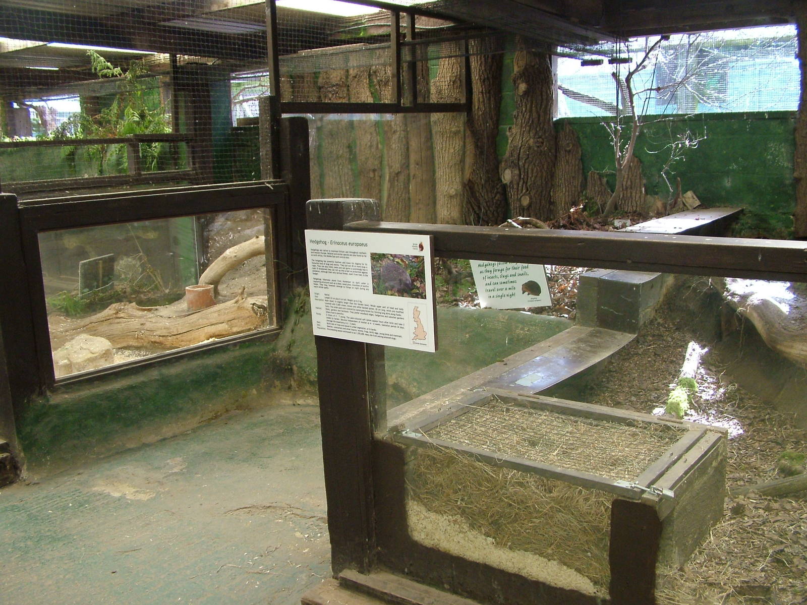 Hedgerow exhibits at the British Wildlife Centre 14/03/10