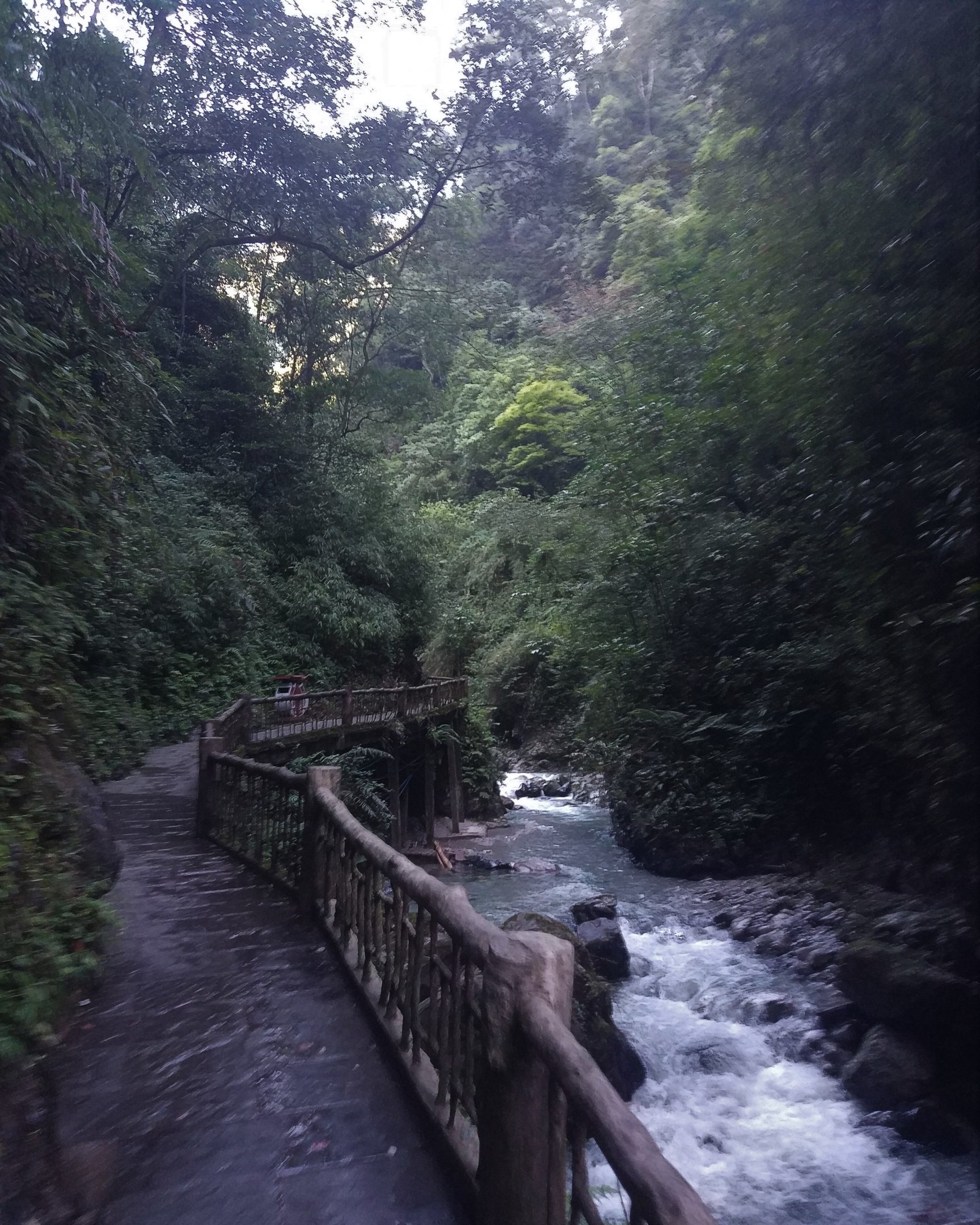 Heilongjiang Pathway, Mount Emei