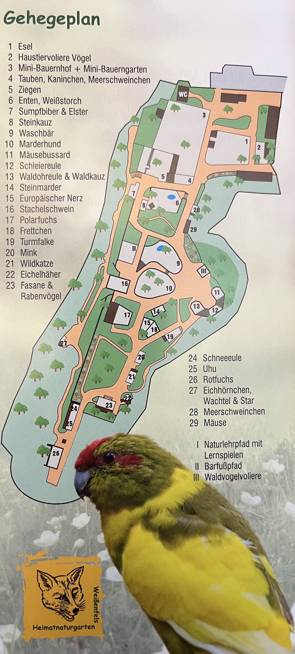 Heimatnaturgarten Weissenfels Map - undated