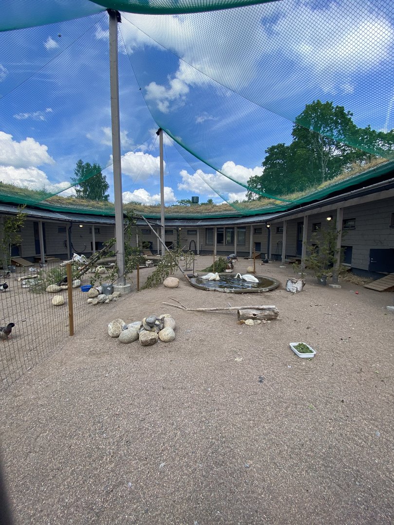 Heinolan lintuhoitola, enclosure for waterfowl
