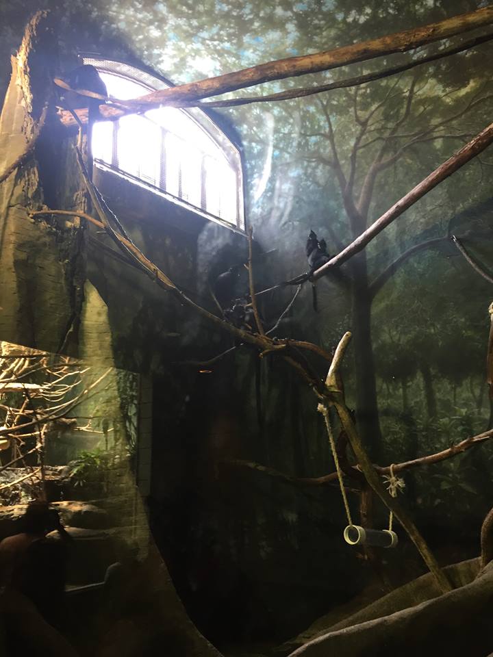 Helen Branch Primate House