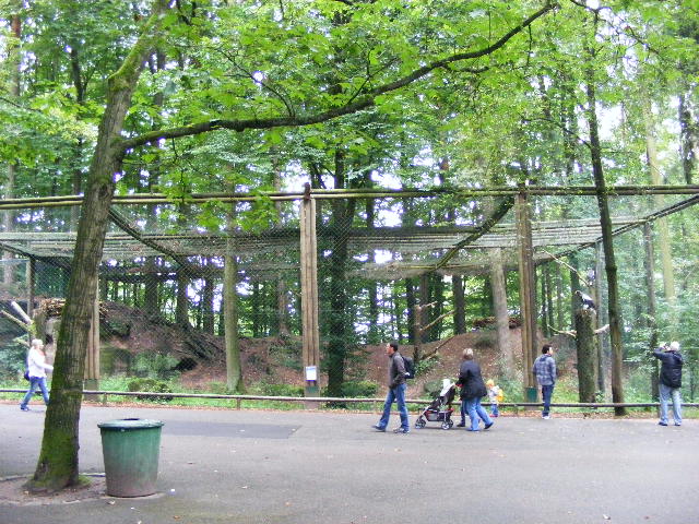 Heliaeetus pelagicus Aviary
