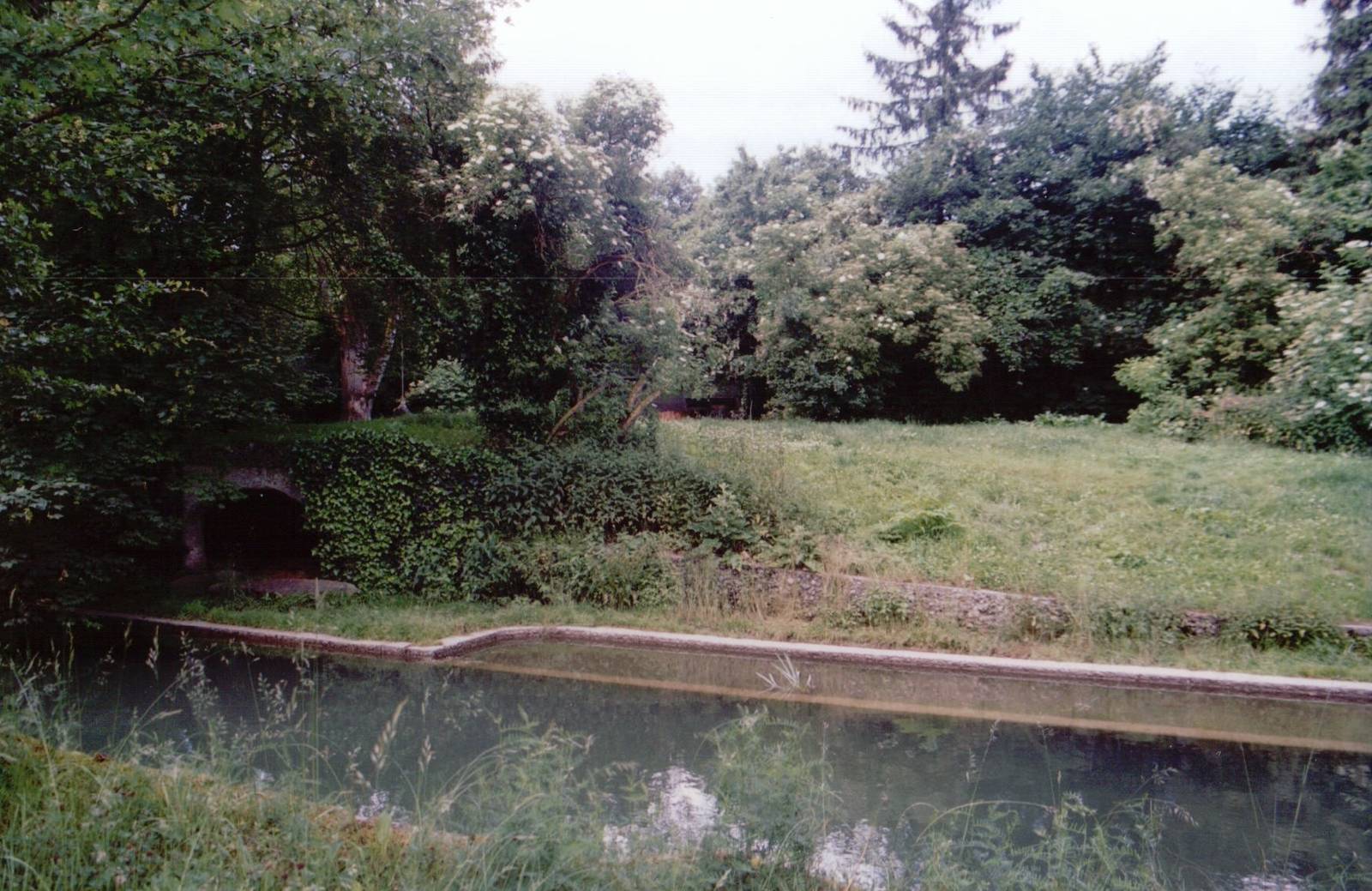 Hellabrunn 1999 - Front of the Amur Tiger exhibit