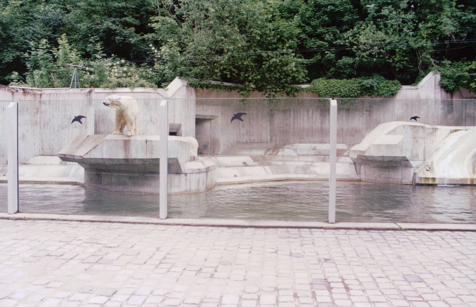 Hellabrunn 1999 - Front of the Polar Bear exhibit