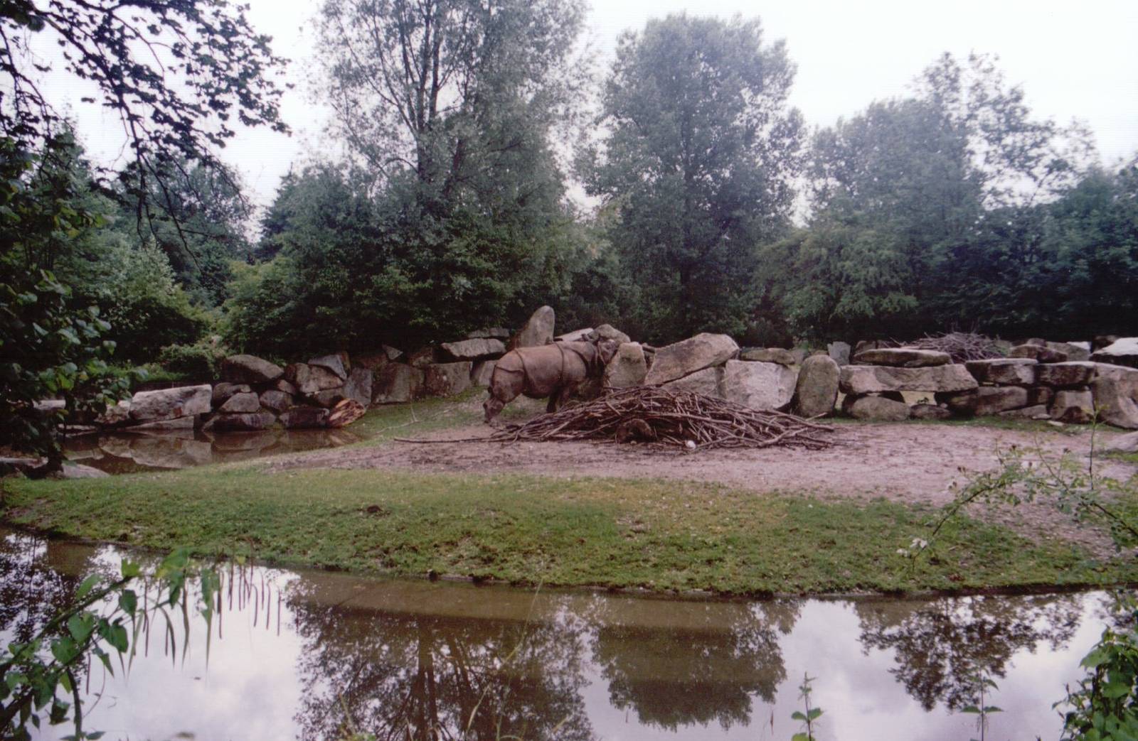 Hellabrunn 1999 - Indian Rhinoceros exhibit