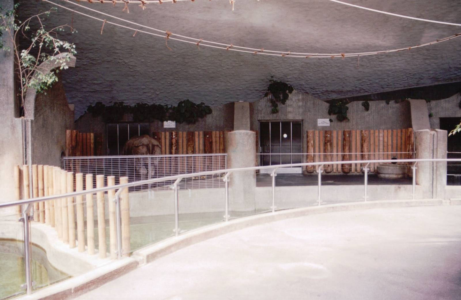 Hellabrunn 1999 - Indian Rhinoceros stalls in the Pachyderm Building