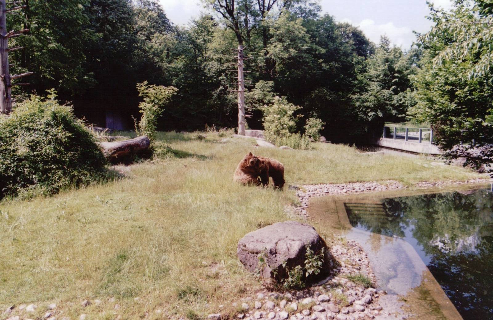 Hellabrunn 1999 - Part of the great Brown Bear exhibit