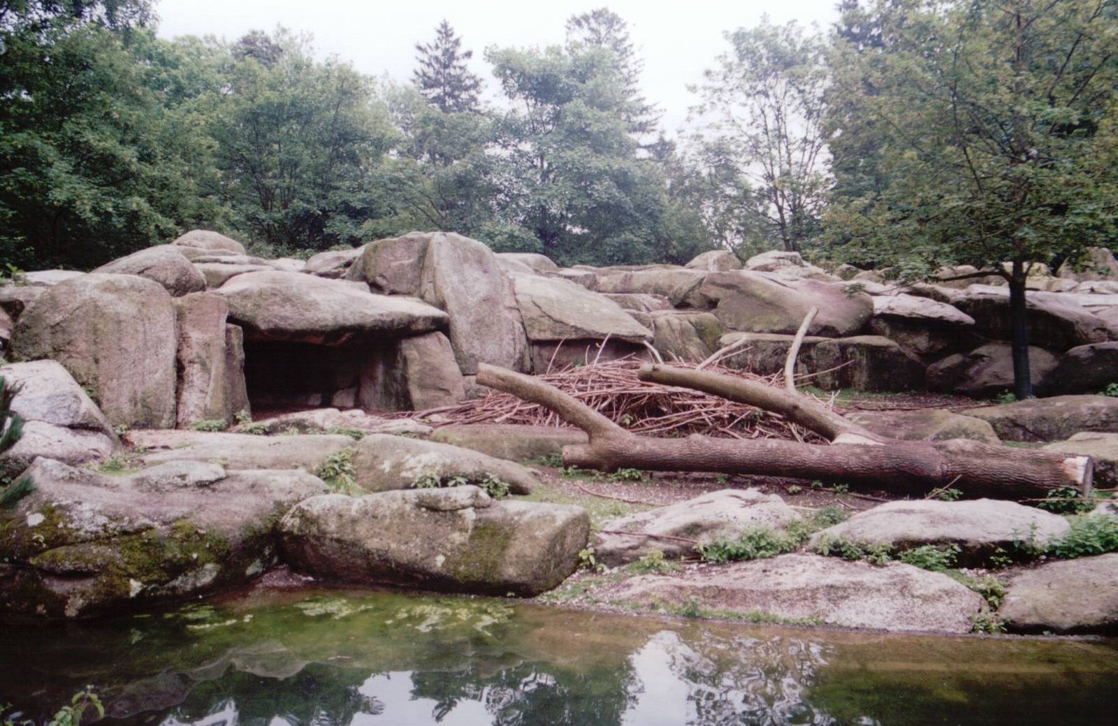 Hellabrunn 1999 - Rocky Mountain Goat exhibit