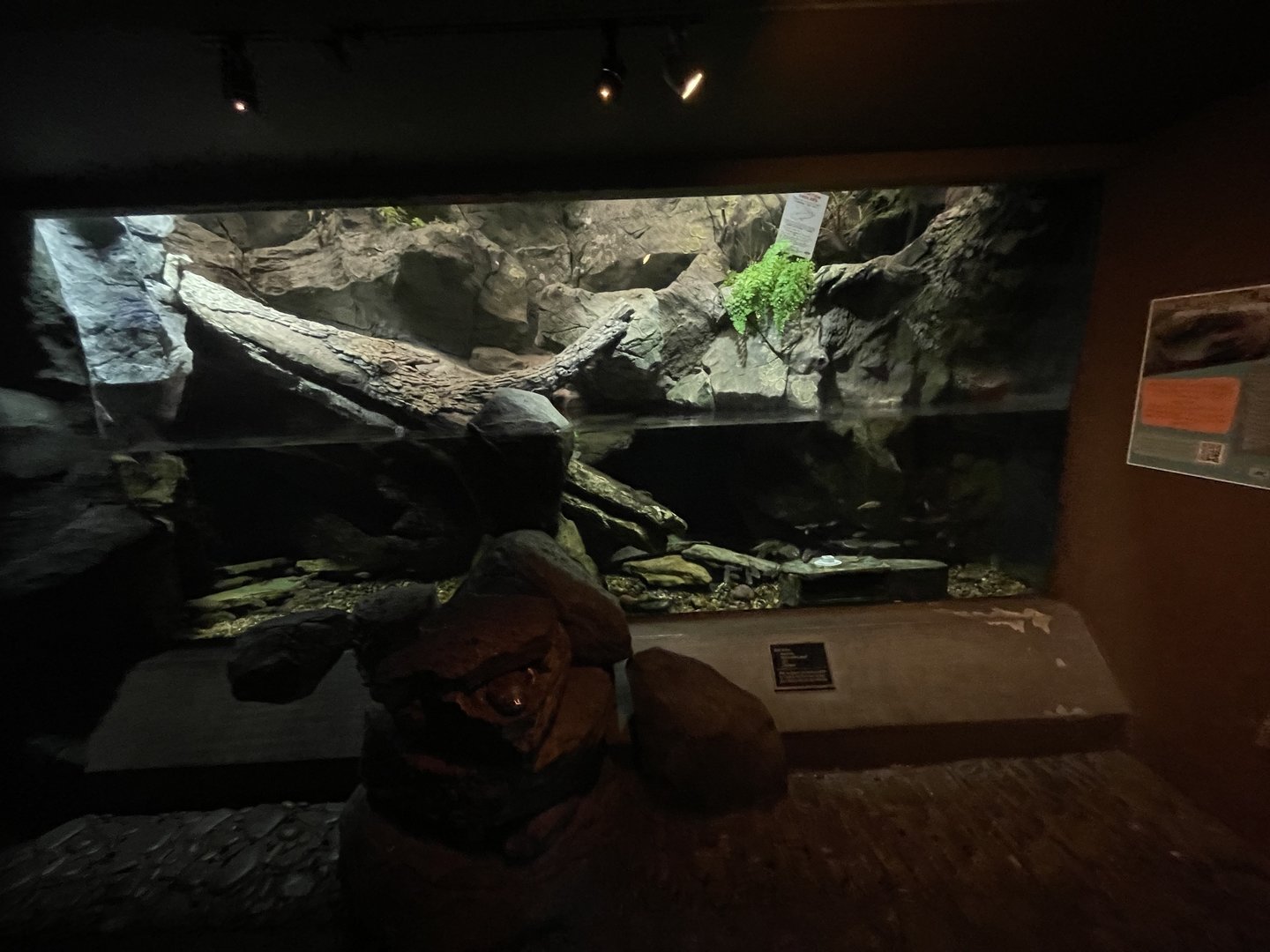 Hellbender Enclosure