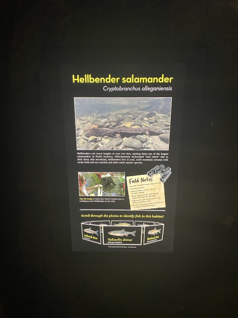 Hellbender Signage