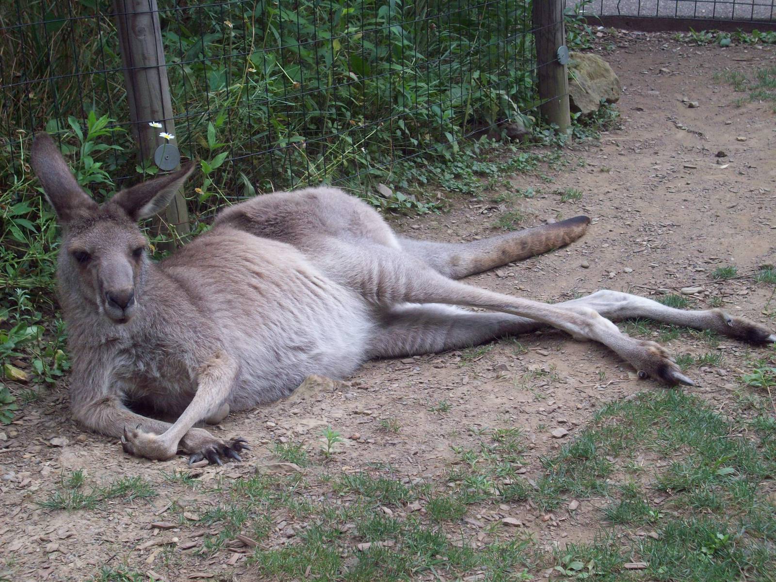 Hello, thanks for stopping by.