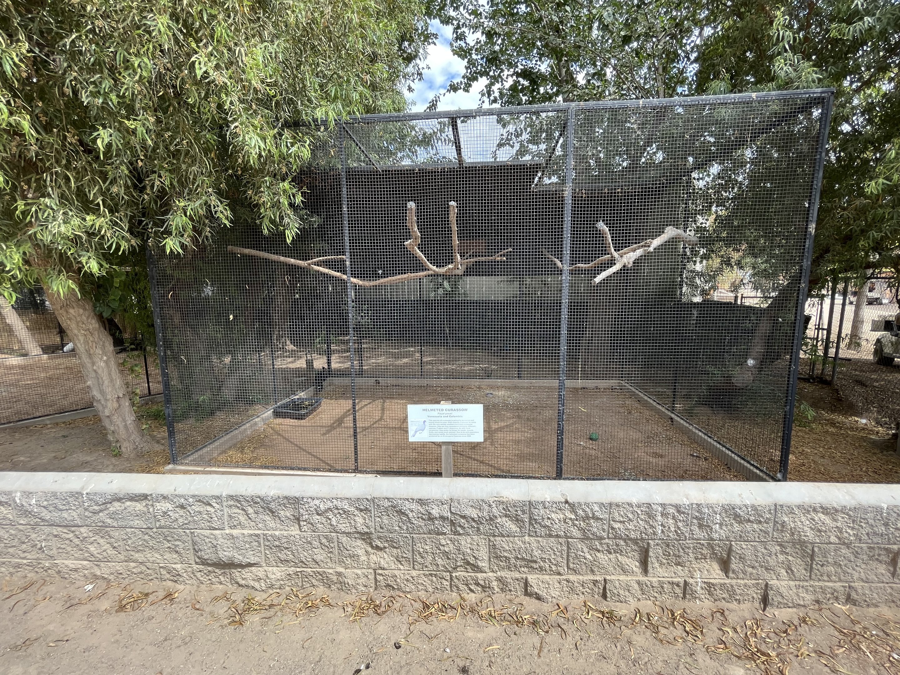Helmeted Curassow Aviary