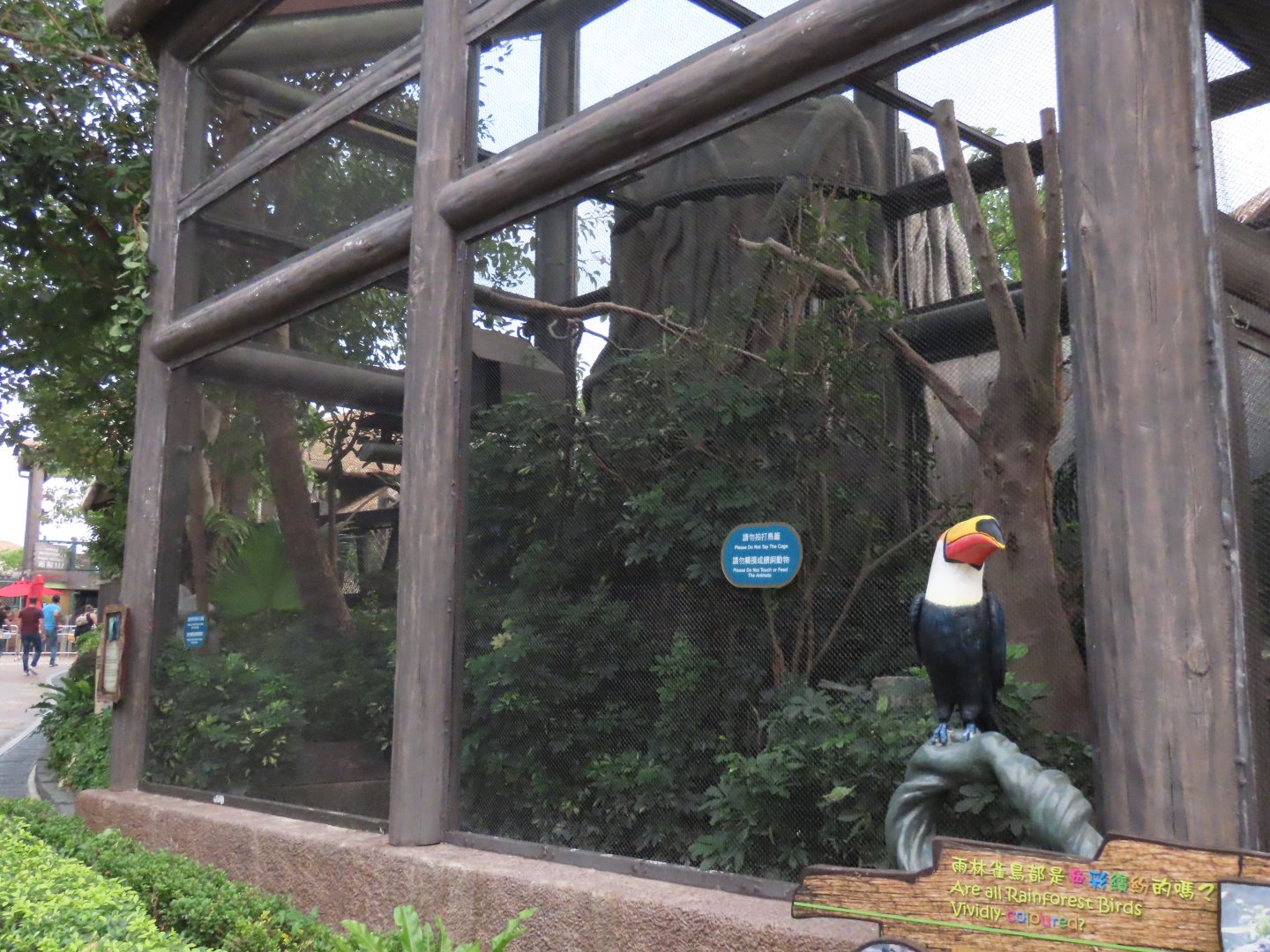 Helmeted curassow exhibit