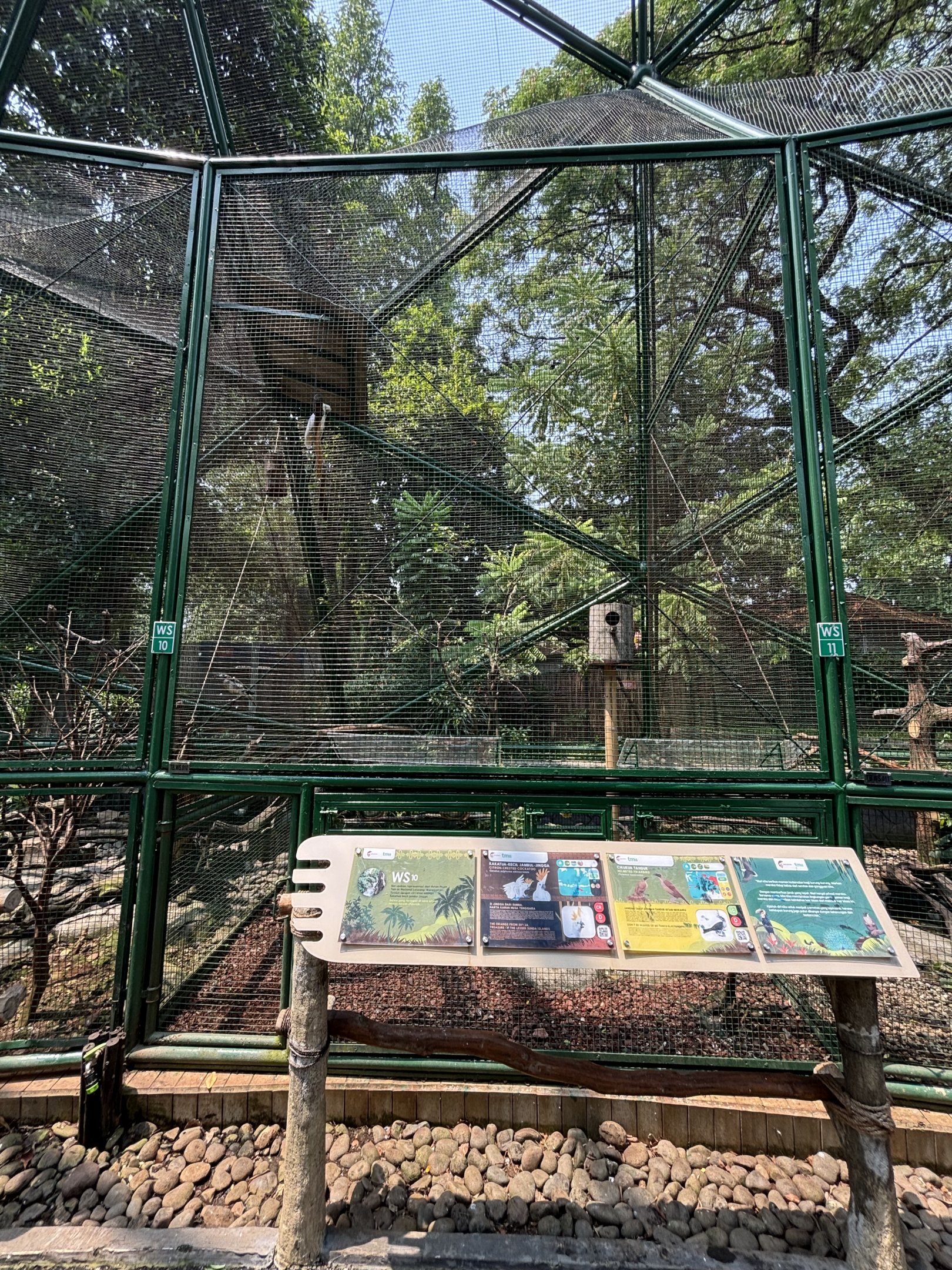 Helmeted Friarbird/Citron-crested Cockatoo Aviary
