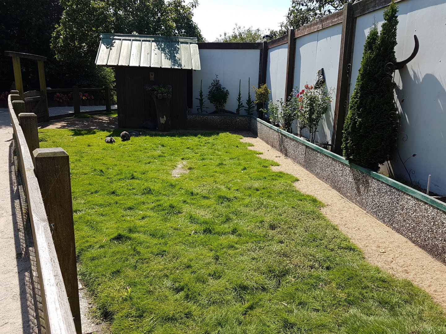 Helmeted guineafowl-enclosure