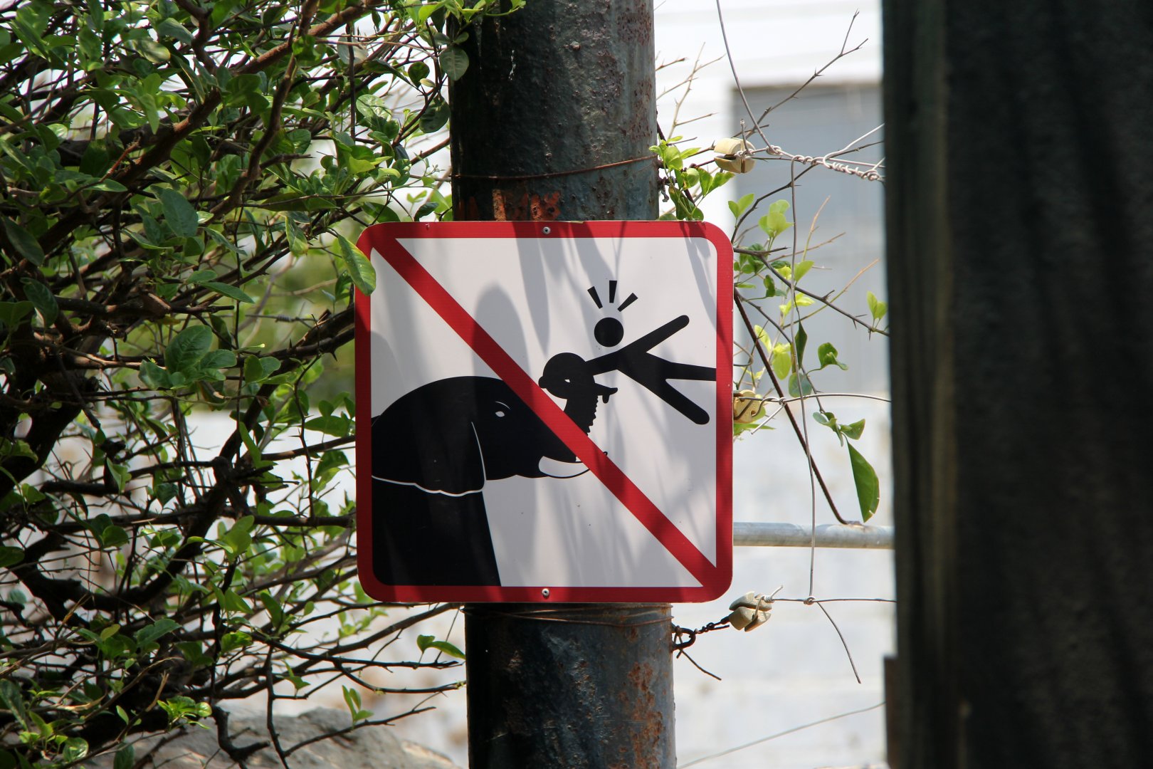 Helpful Elephant sign