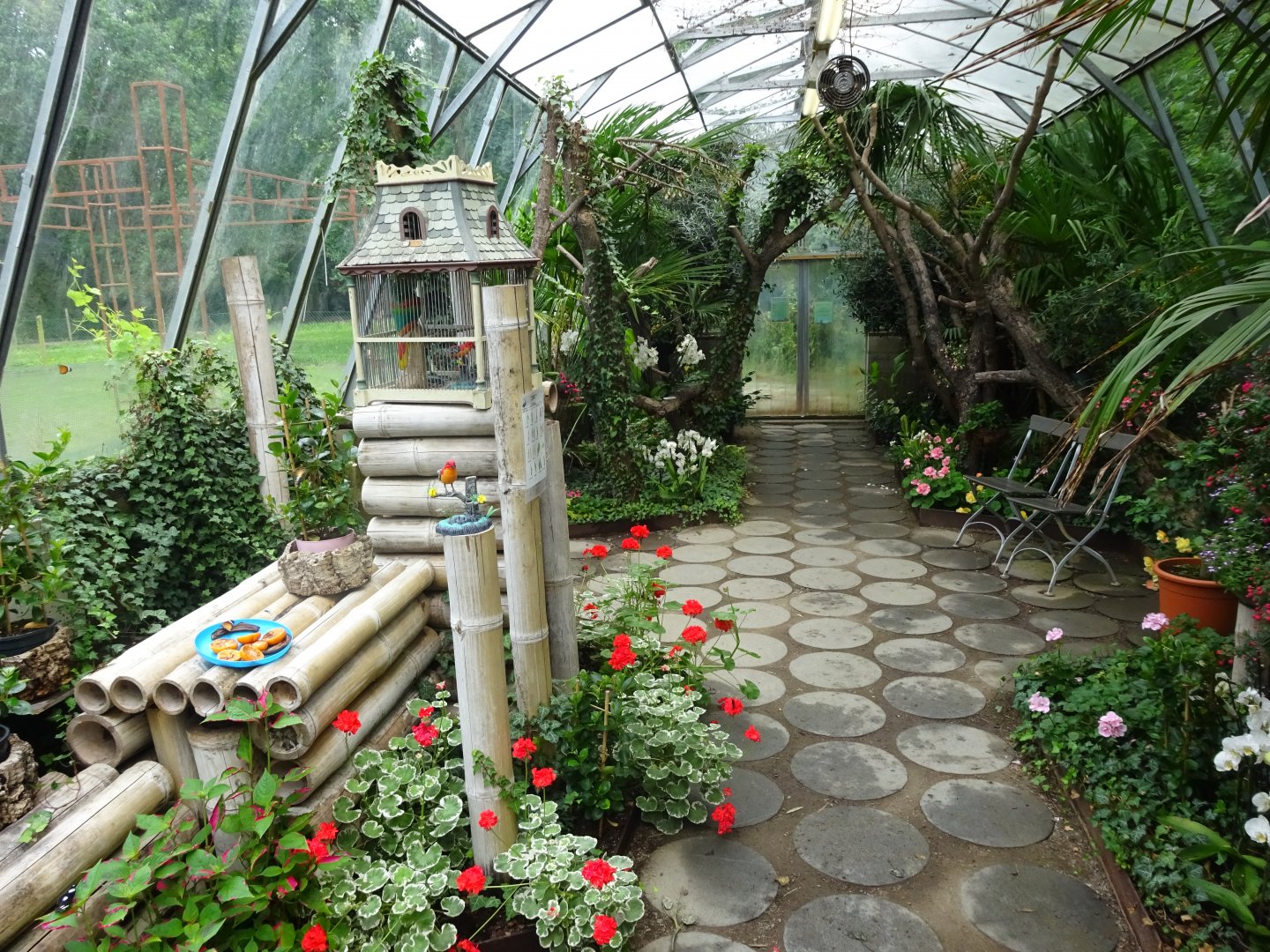 Helsingborg Djurpark - Butterfly house