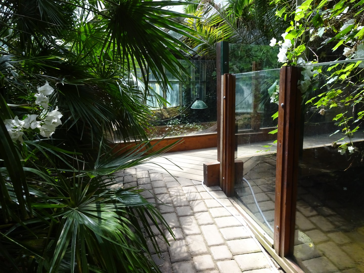 Helsingborg Djurpark - Greenhouse - General view