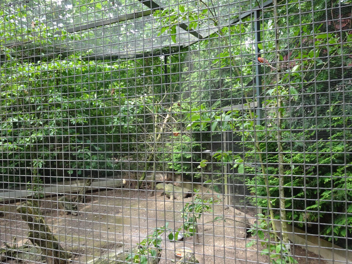 Helsingborg Djurpark - North America aviary