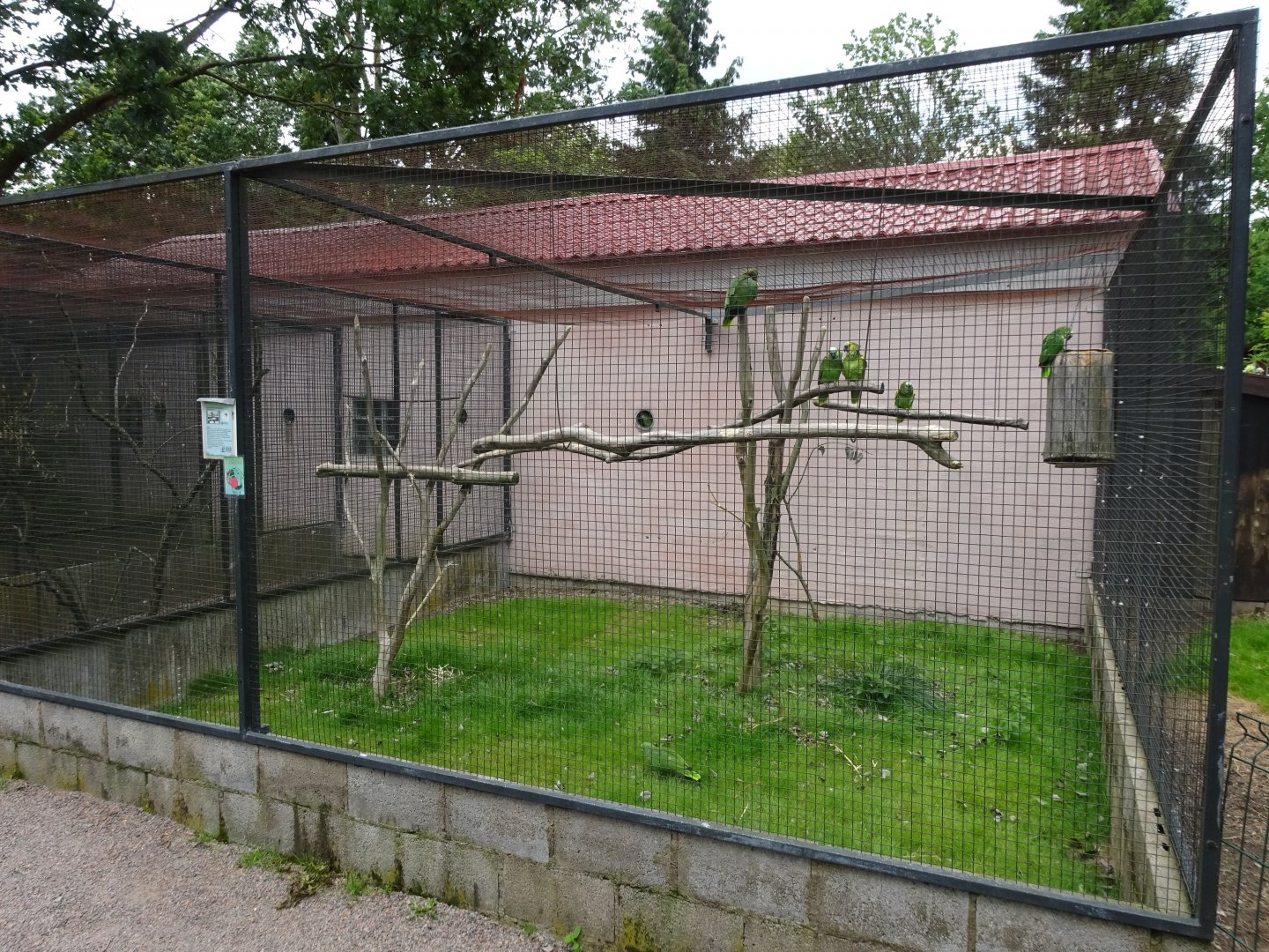 Helsingborg Djurpark - Parrot aviary #1