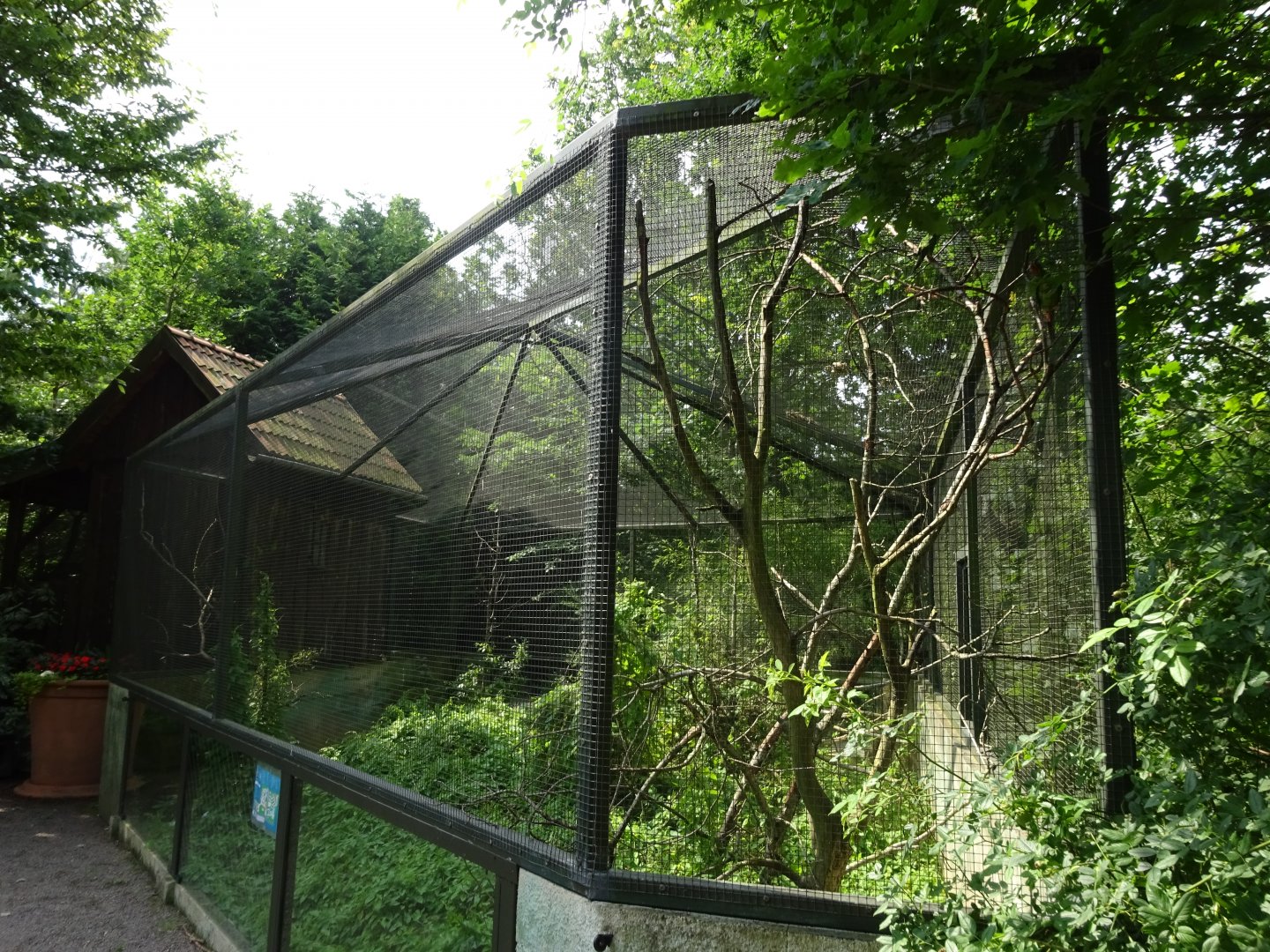 Helsingborg Djurpark - Parrot aviary #10