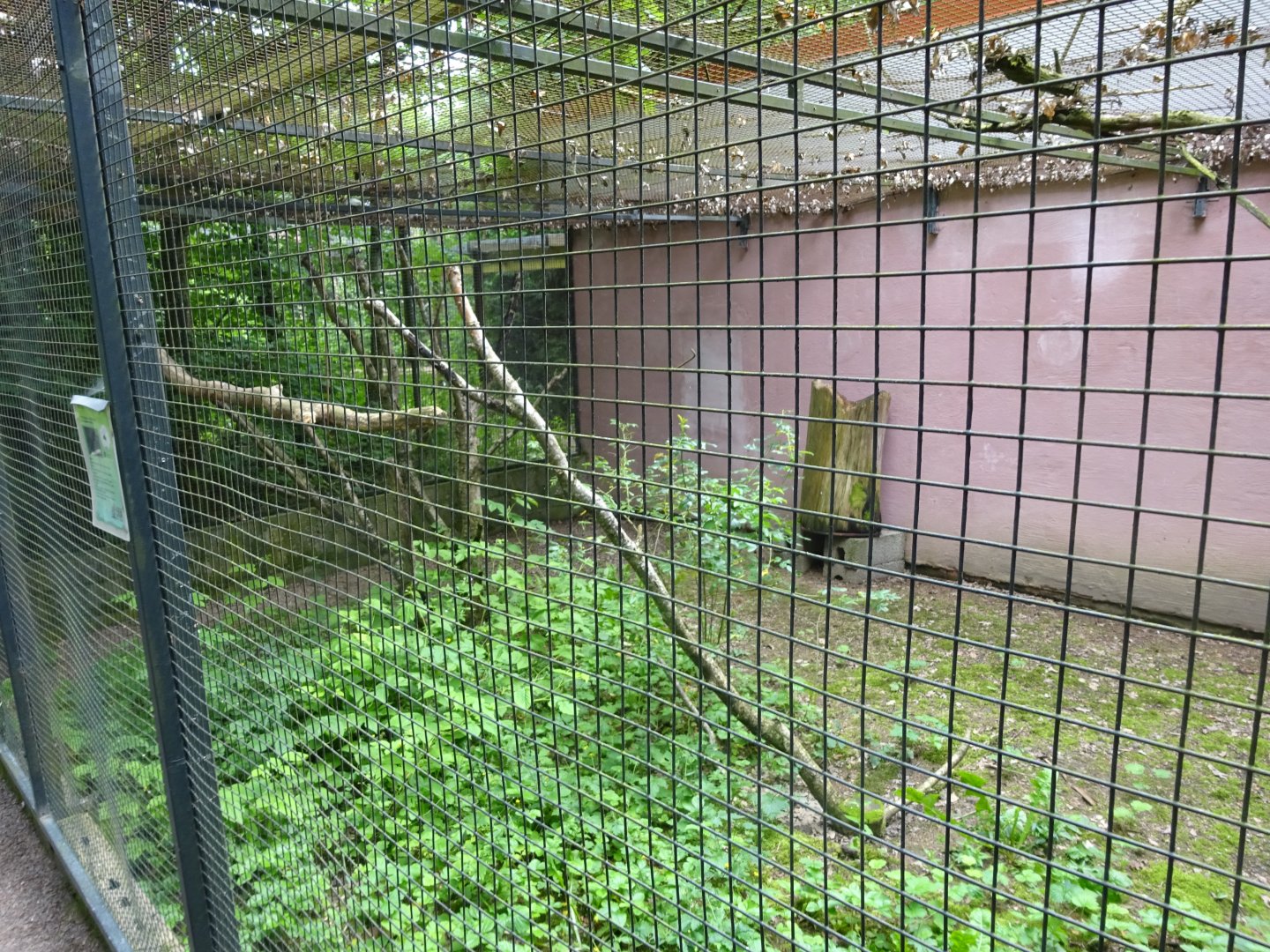 Helsingborg Djurpark - Parrot aviary #19