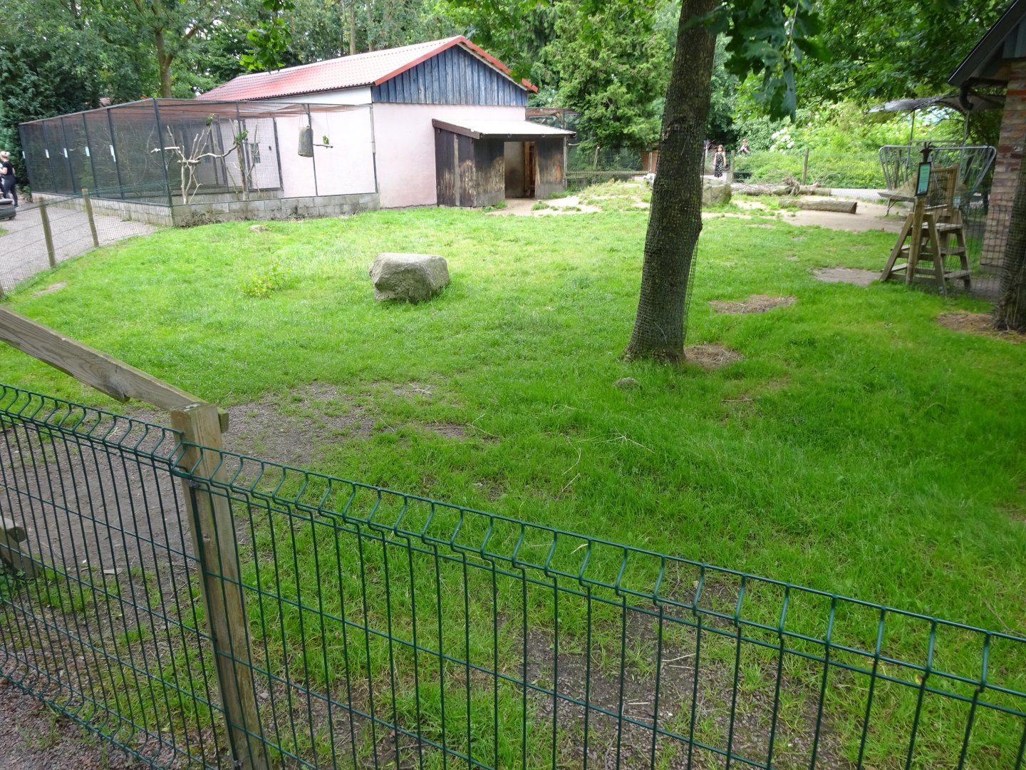 Helsingborg Djurpark - Petting zoo - Goat exhibit