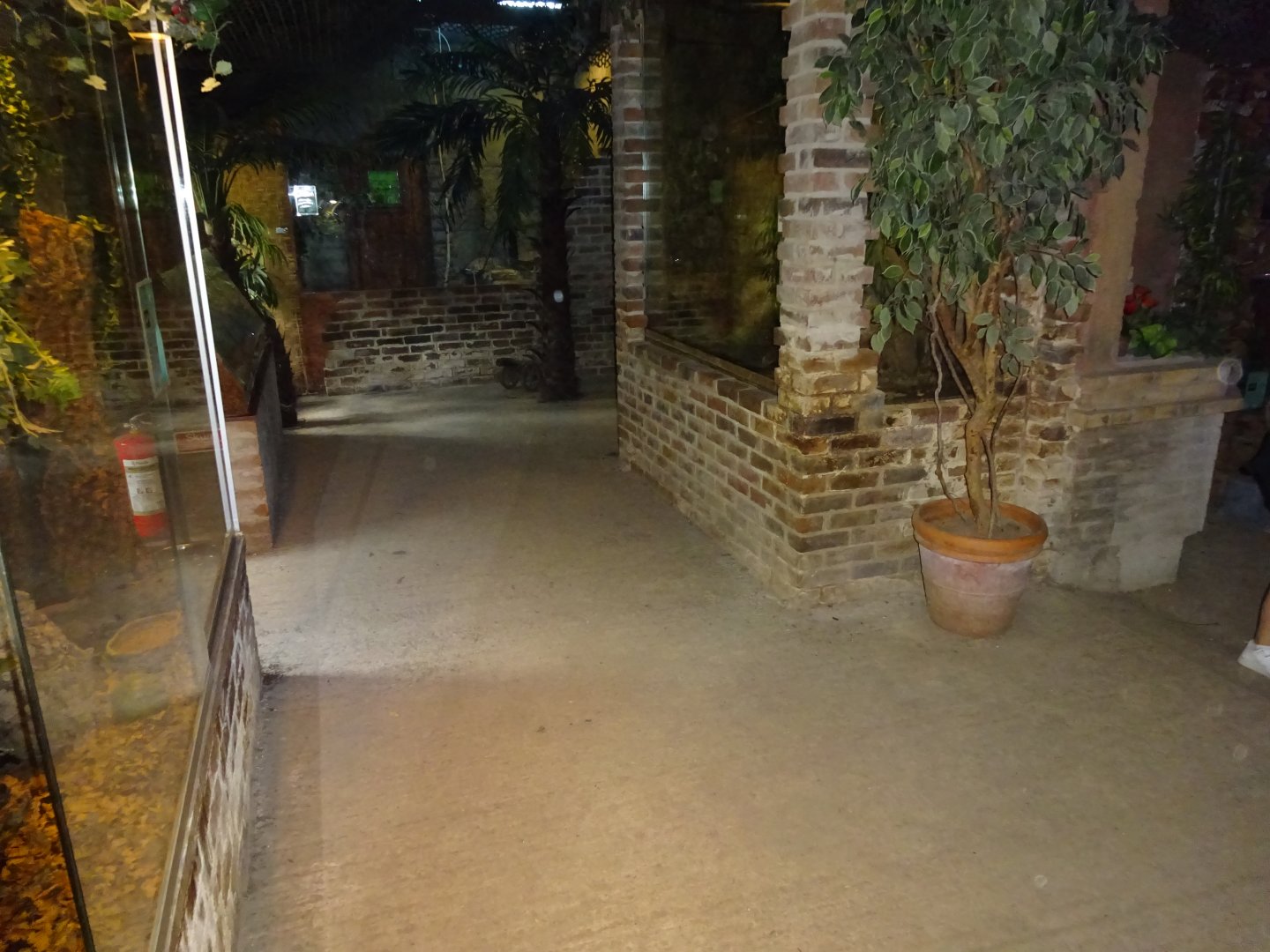 Helsingborg Djurpark - Reptile house - General view