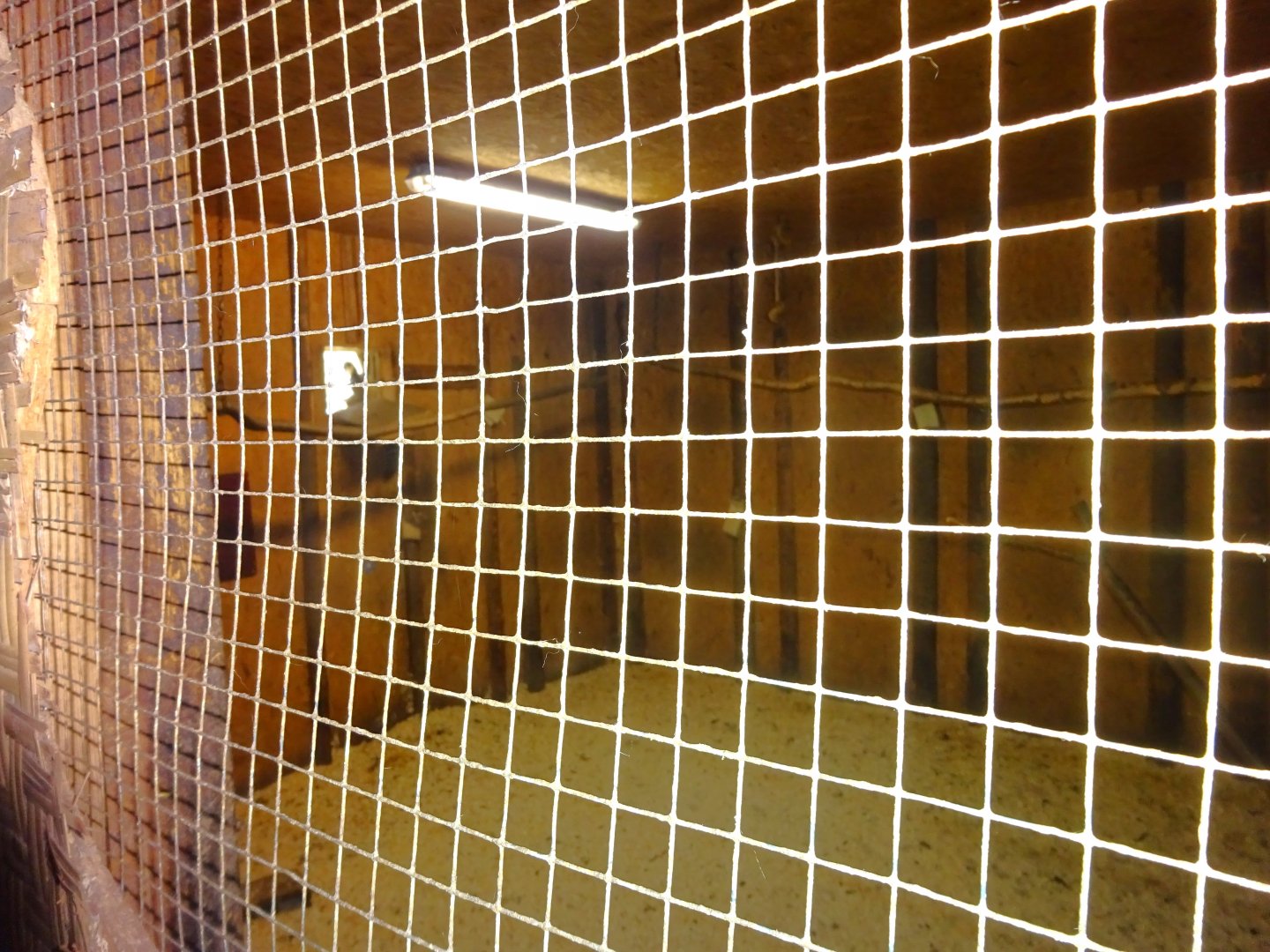 Helsingborg Djurpark - Reptile house - Lemur exhibit