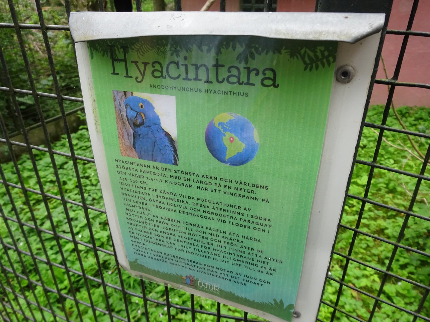 Helsingborg Djurpark - Signage example