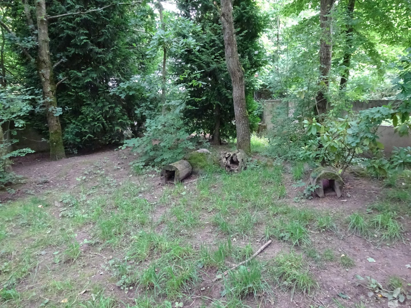 Helsingborg Djurpark - Skunk exhibit