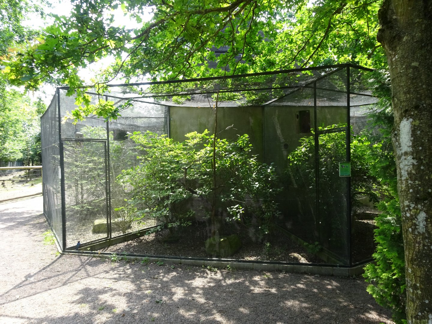 Helsingborg Djurpark - Starling aviary
