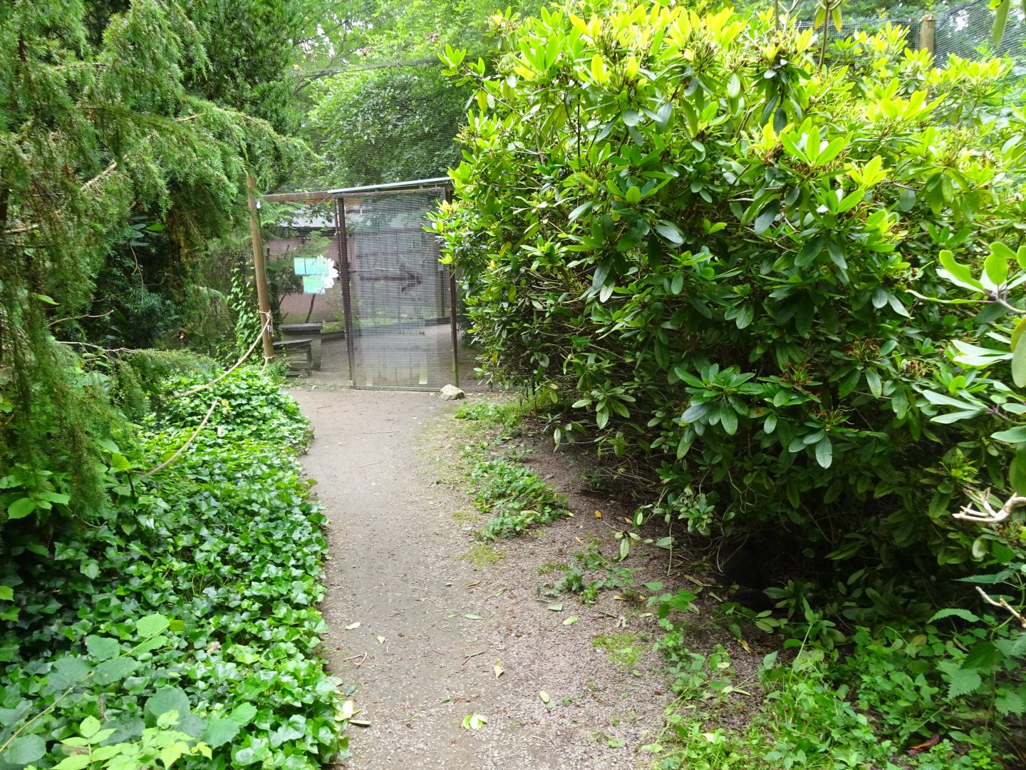 Helsingborg Djurpark - Walkthrough aviary (wetlands)