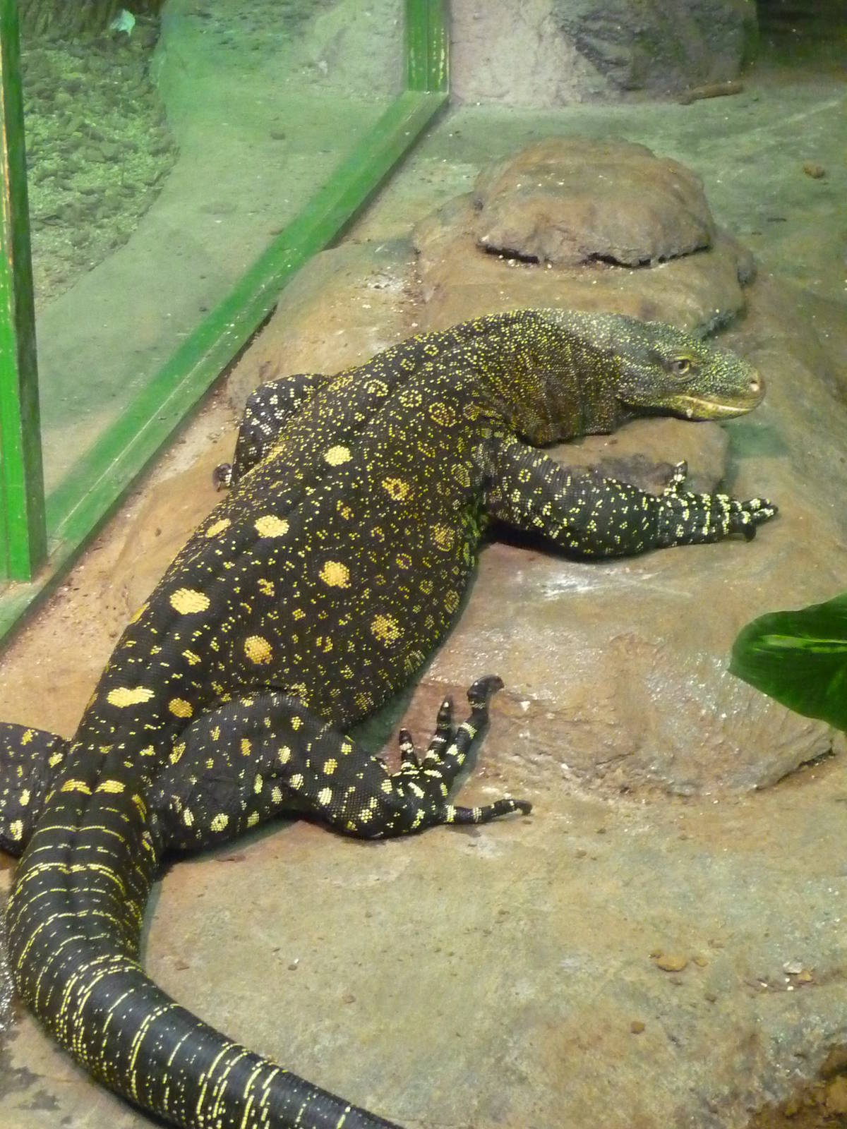 Helsinki Tropicario Reptile Zoo