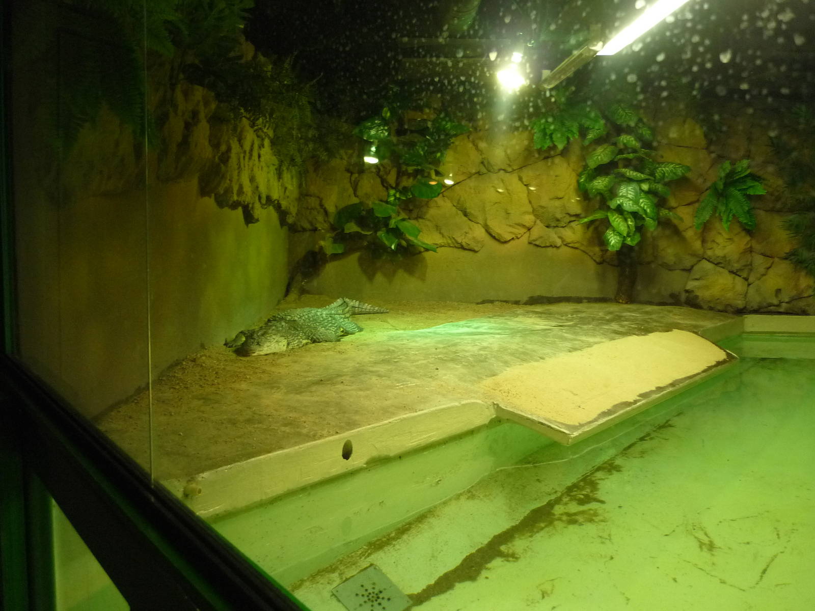 Helsinki Tropicario Reptile Zoo