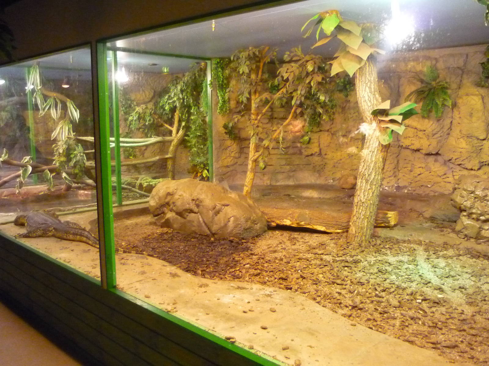 Helsinki Tropicario Reptile Zoo
