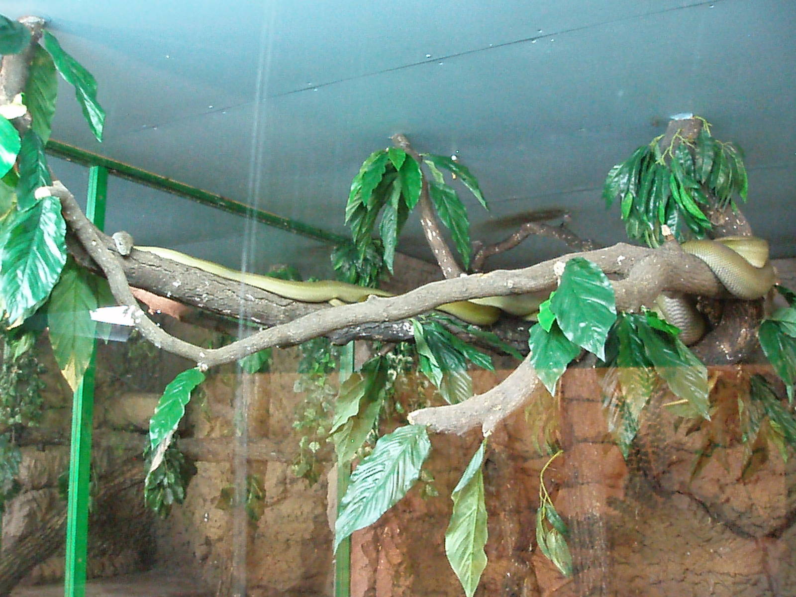 Helsinki Tropicario Reptile Zoo