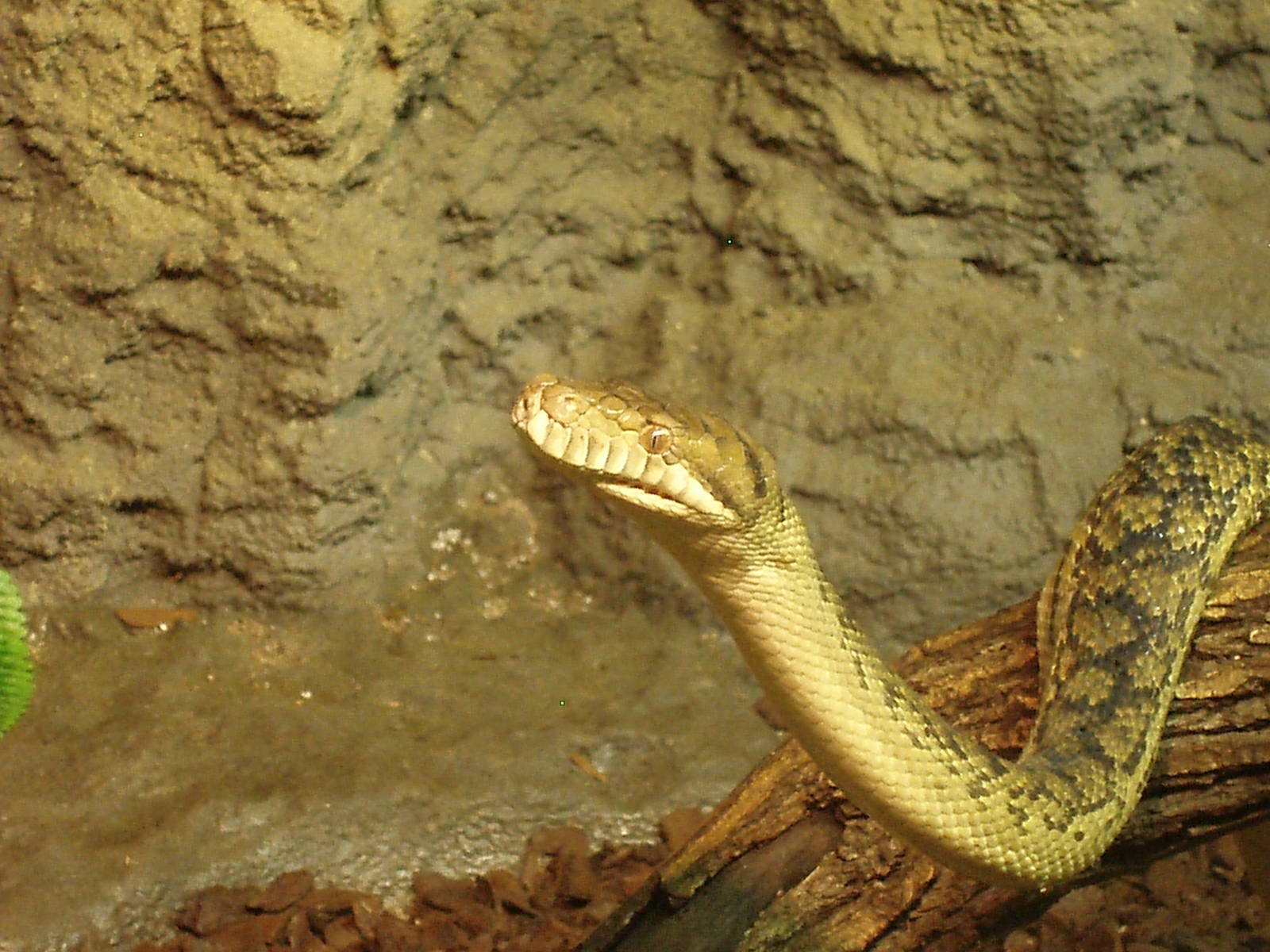 Helsinki Tropicario Reptile Zoo