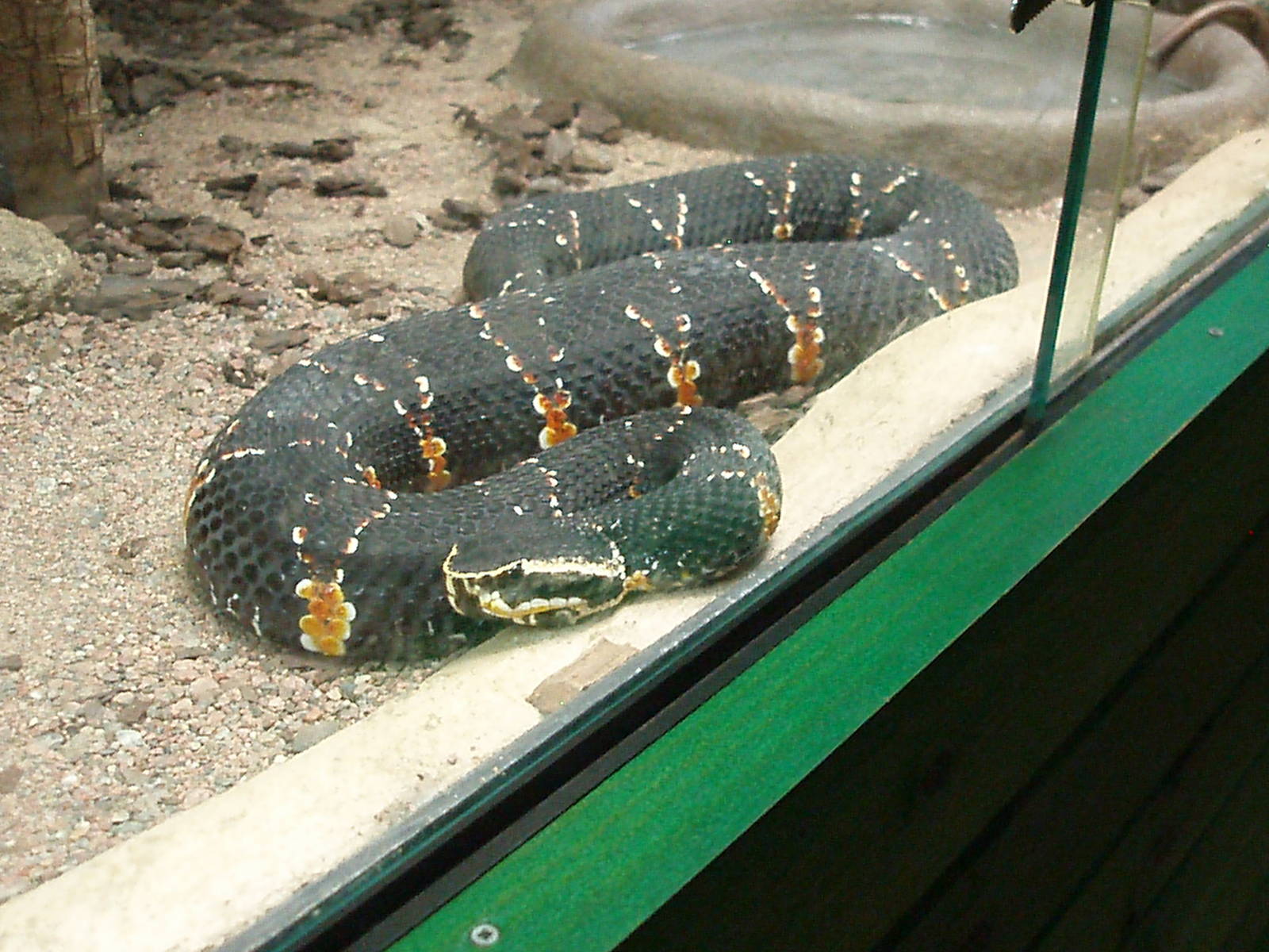 Helsinki Tropicario Reptile Zoo
