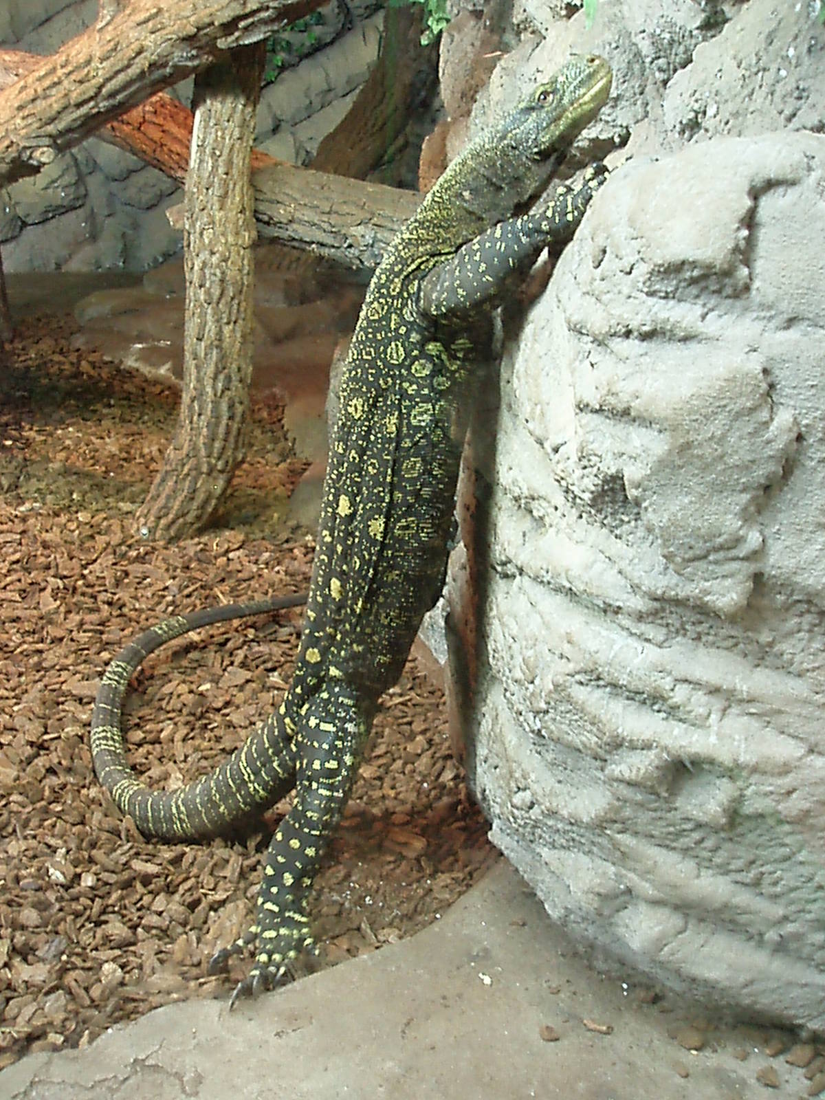Helsinki Tropicario Reptile Zoo