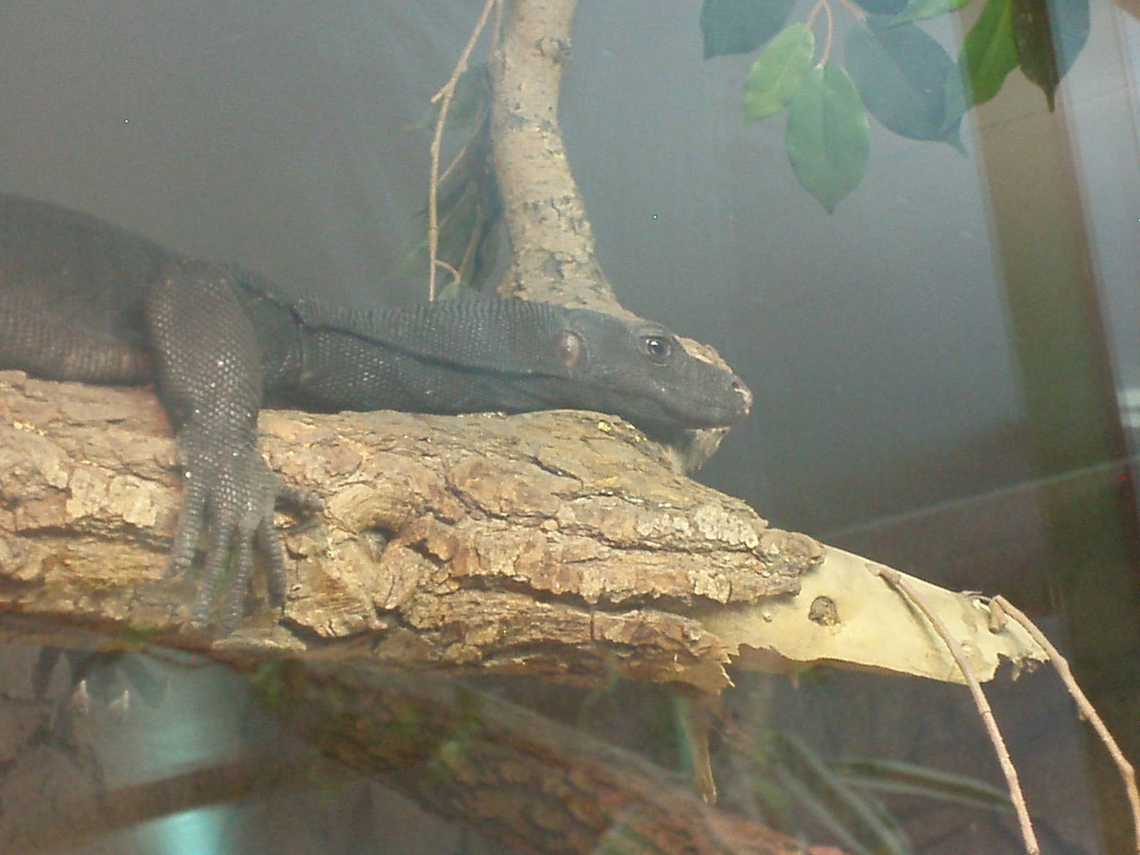 Helsinki Tropicario Reptile Zoo