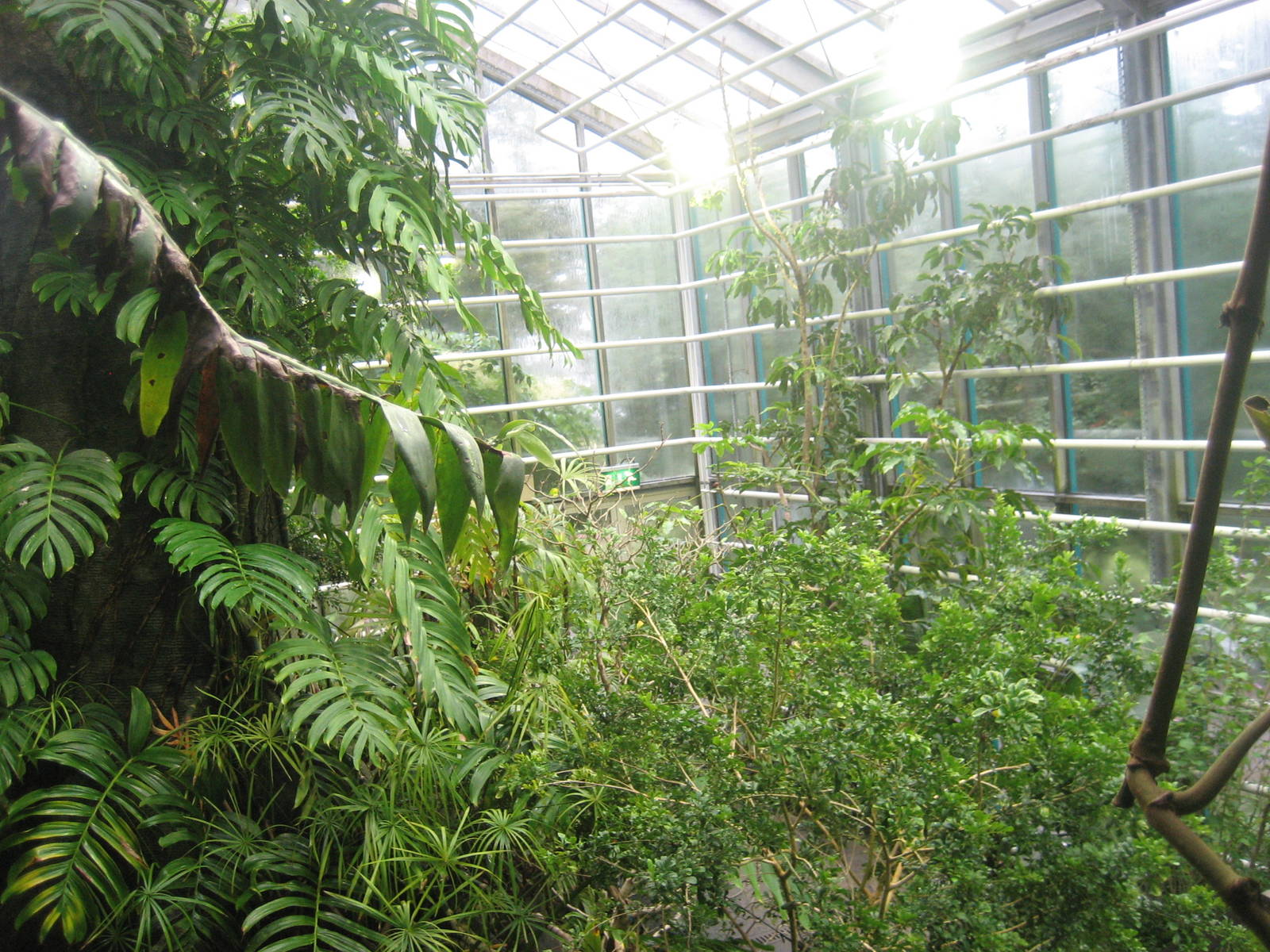 Helsinki Zoo - Africasia house