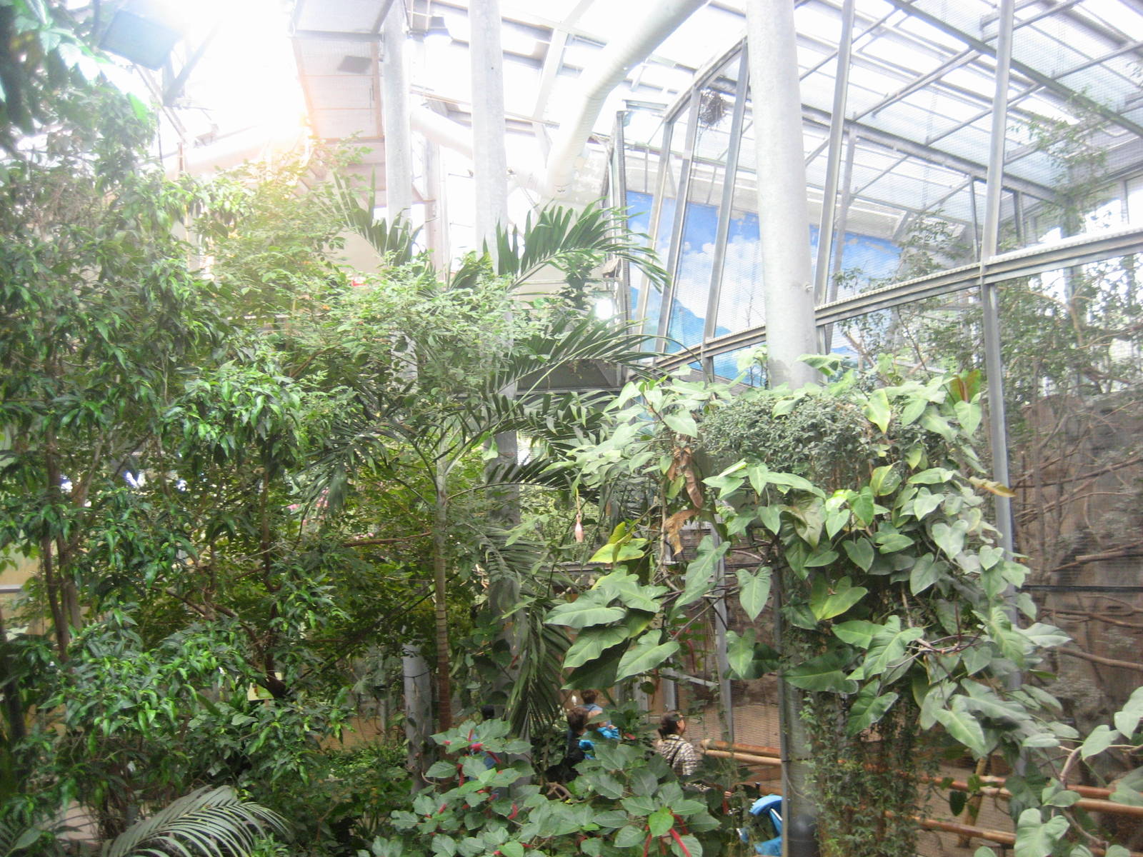 Helsinki Zoo - Amazonia house