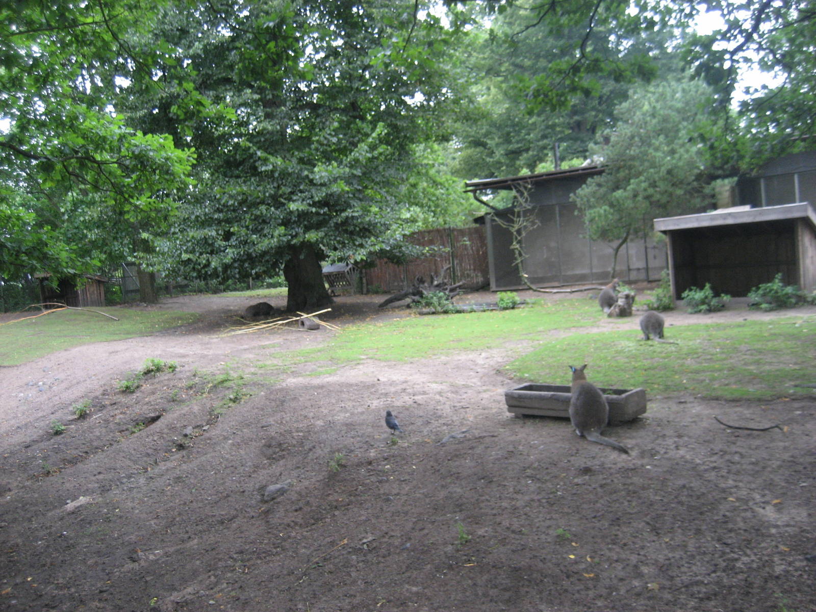 Helsinki Zoo - Australia exhibit