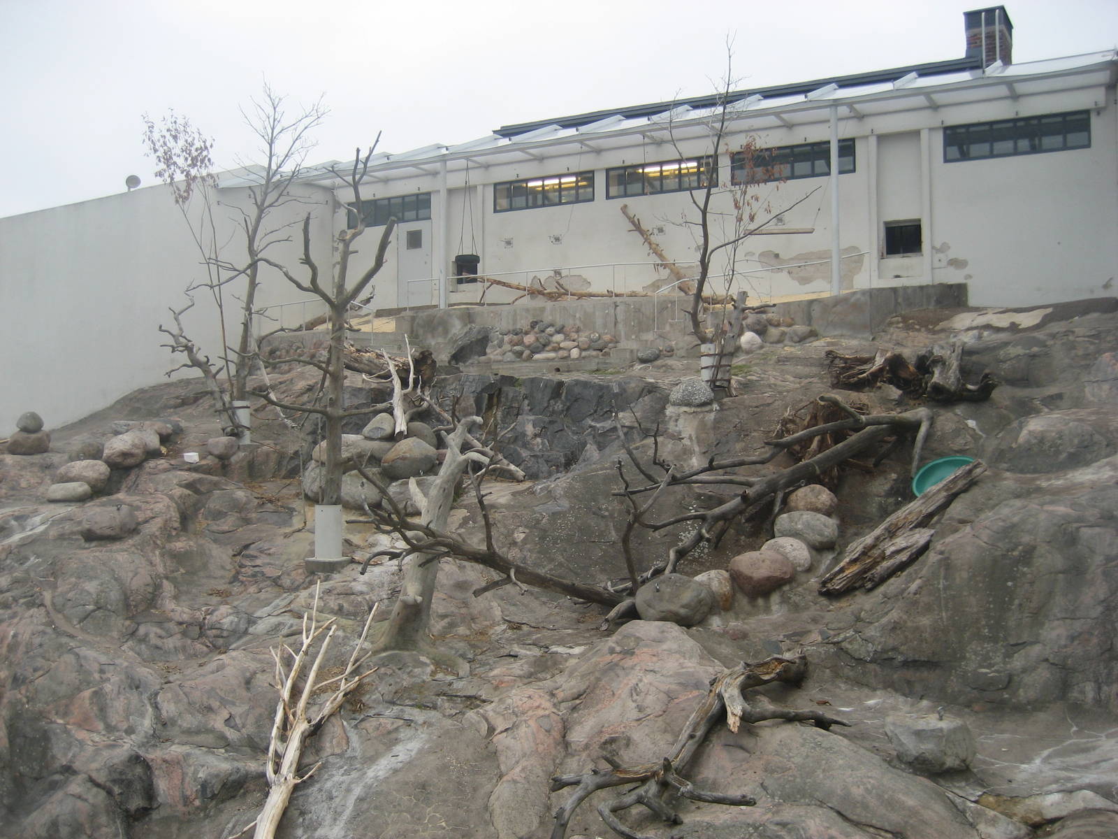 Helsinki Zoo - Baboon mountain