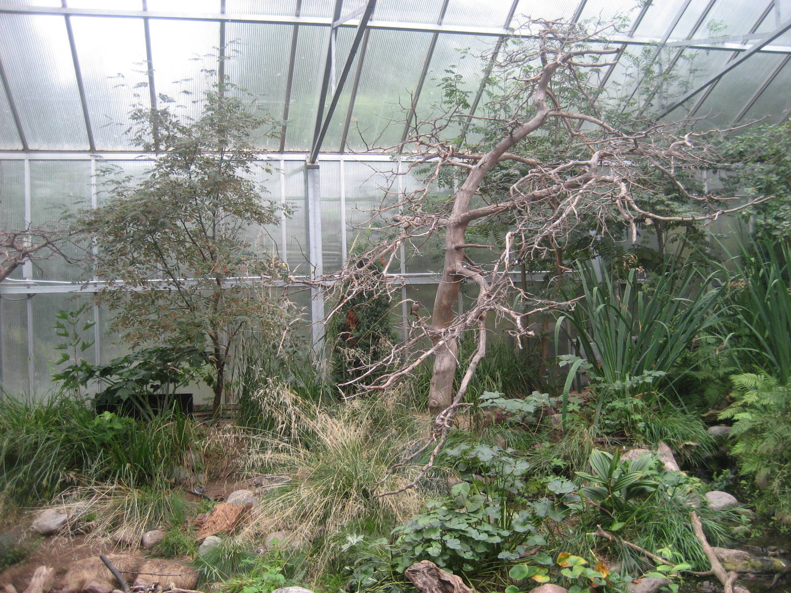 Helsinki Zoo - Borealia