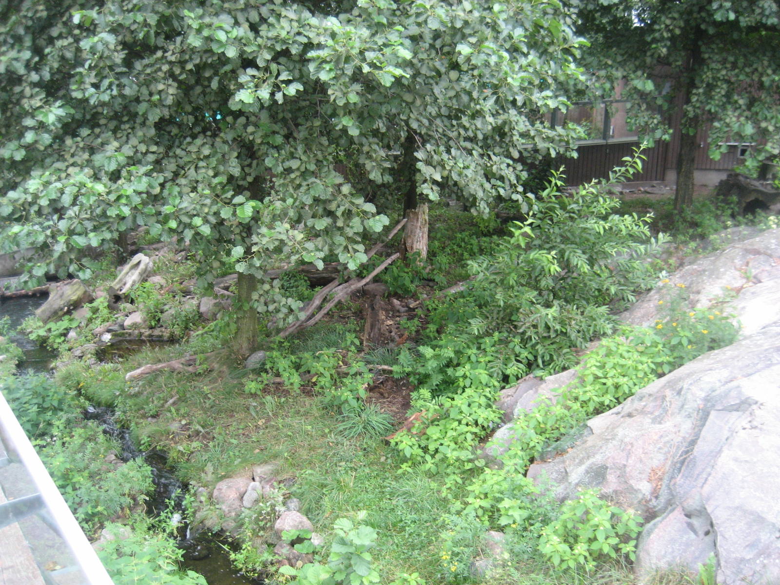 Helsinki Zoo - European otter exhibit
