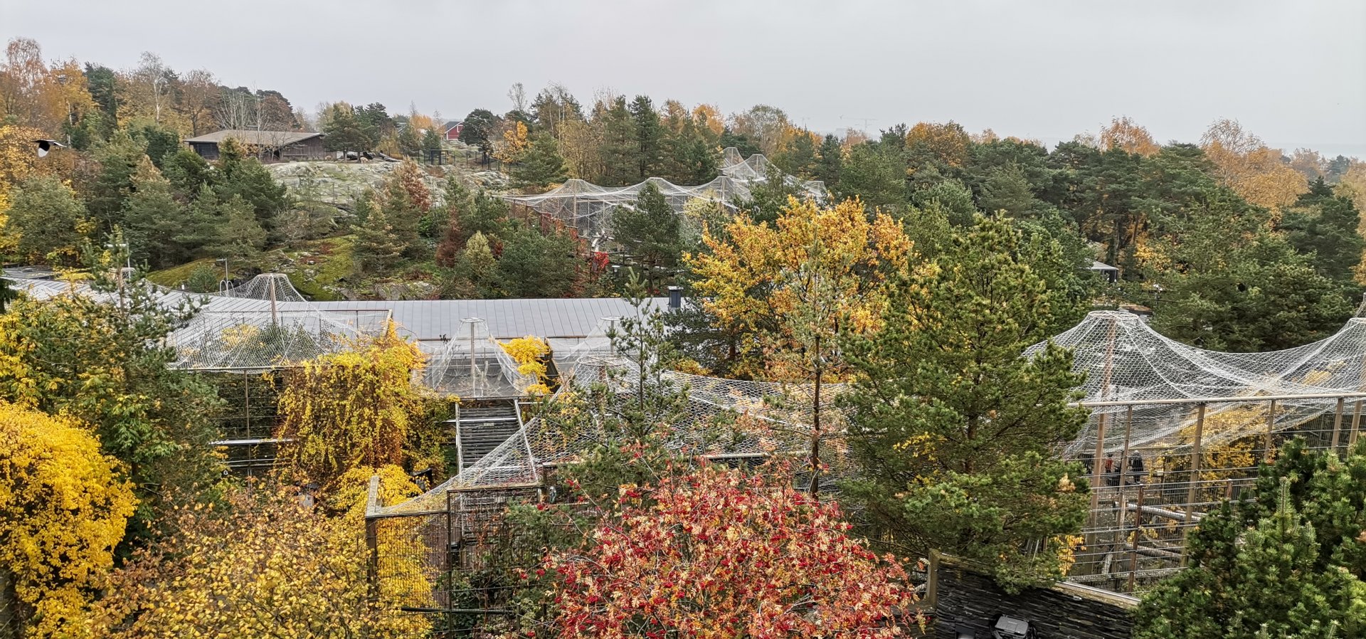 Helsinki zoo from the Top