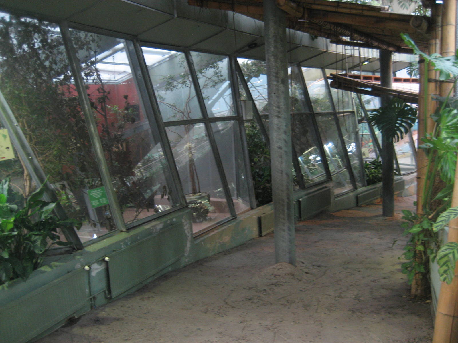 Helsinki Zoo - Monkey exhibits